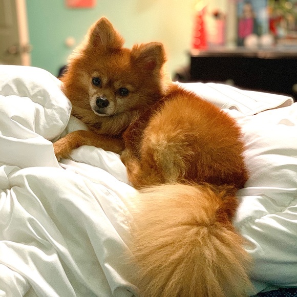 ๐ธ Welcome ๐ธ - Picture 6 of 12